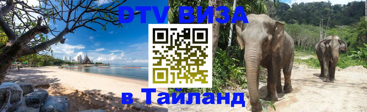 Сколько стоит DTV виза — актуальные цены, оформление даже без документов - 07.01.2026 